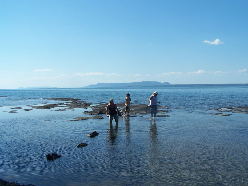 beachcombing the shoreline
